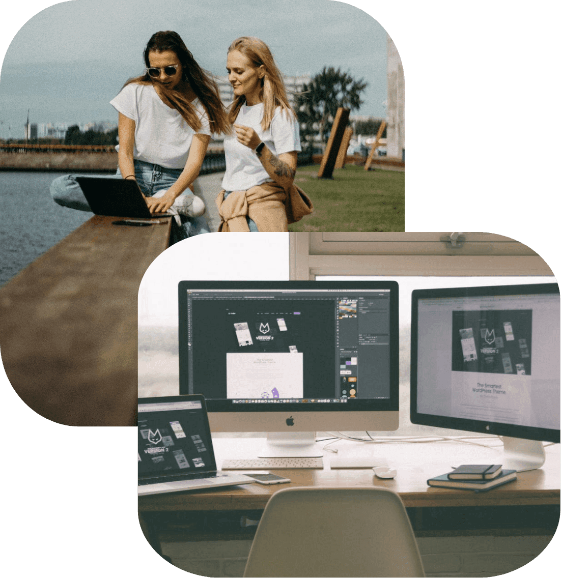 Website Design and Development Services